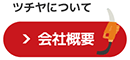 ЊTv