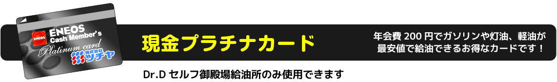 ̂\݂̓c`eX